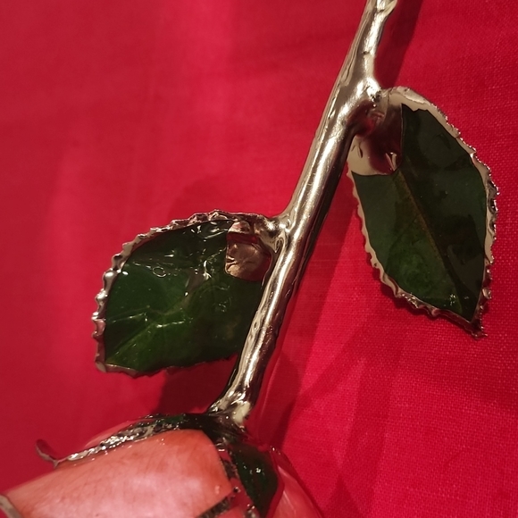 Steven Singer Real Pink Rose Preserved and Dipped in Platinum - Picture 8 of 14